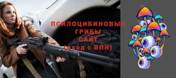 шишки Белоозёрский