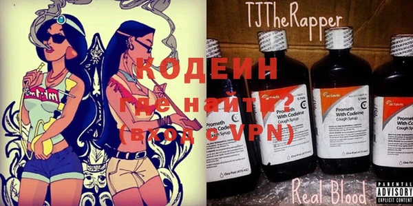 шишки Белоозёрский
