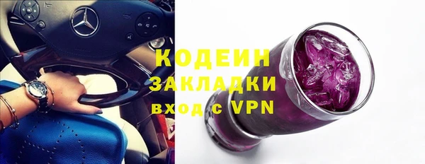 шишки Белоозёрский