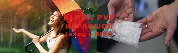 прущие грибы Беломорск