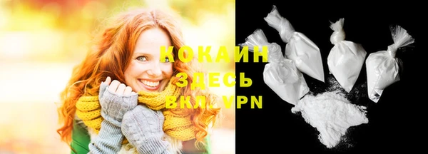 шишки Белоозёрский