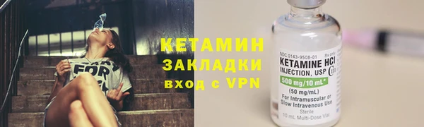 шишки Белоозёрский