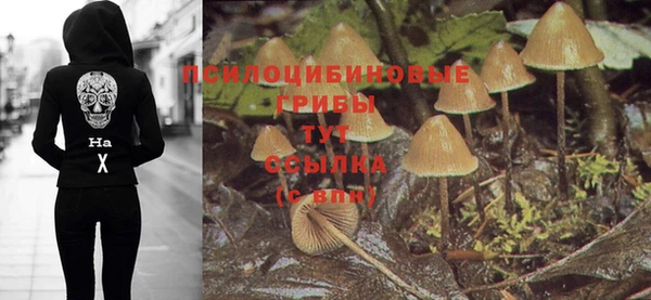 прущие грибы Беломорск