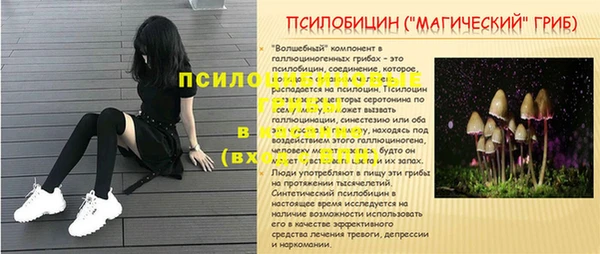 прущие грибы Беломорск