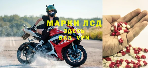прущие грибы Беломорск