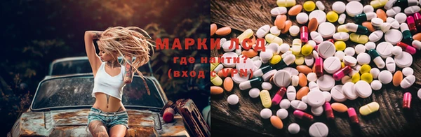 шишки Белоозёрский