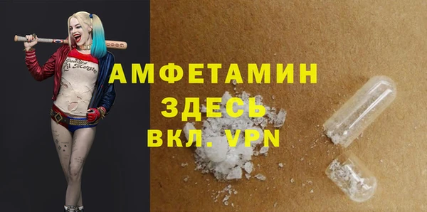 прущие грибы Беломорск