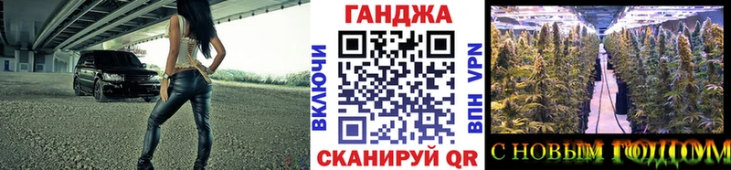 Каннабис сатива  закладки  Сычёвка 